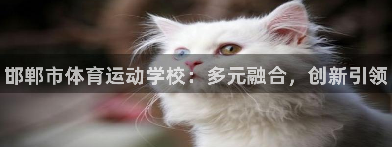一竞技官网下载平台APP:邯郸市体育运动学校:多元融合,创新