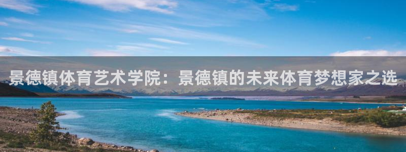 一竞技官网下载是干嘛的公司:景德镇体育艺术学院:景德镇的未来